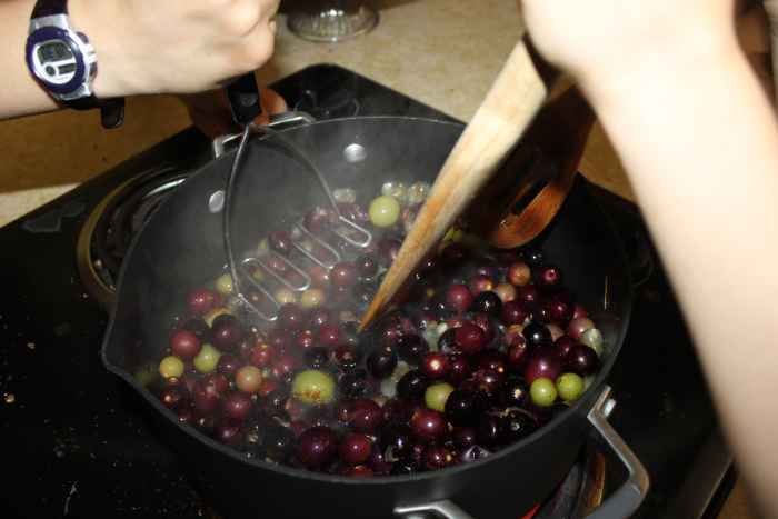This is how we started: Cooking & smashing about 2 pounds of grapes (Step 1)
