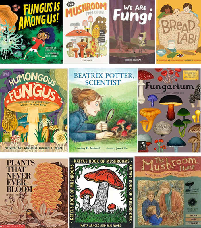 Best Children's Books on Fungi