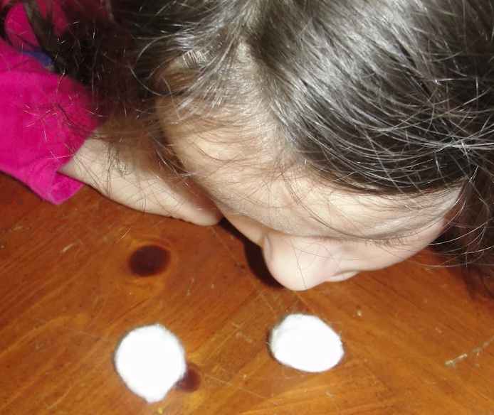 Mammal Senses: Sensitive Sniffers