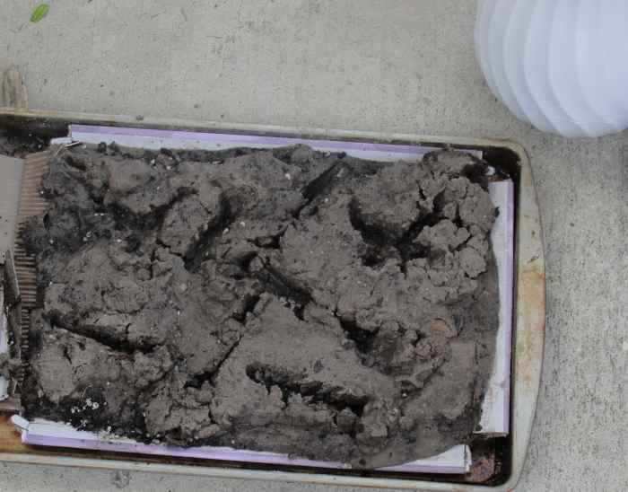 earth-science-unit-study-on-erosion-for-homeschool