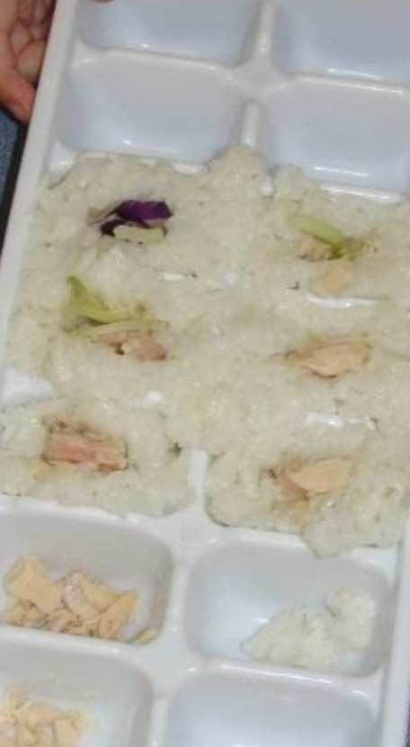 Making Simplified Sushi