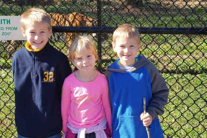 Enjoying the 3 tigers at Noah's Ark