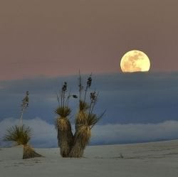 White Sands National Monument