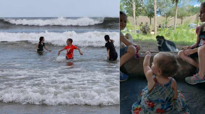 Our two favorite places: the beach & the zoo