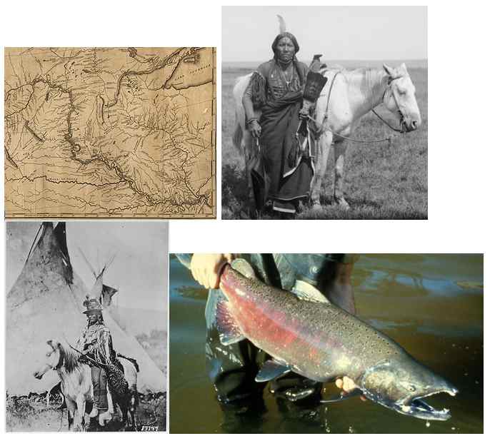 Set 2 of pictures for journal