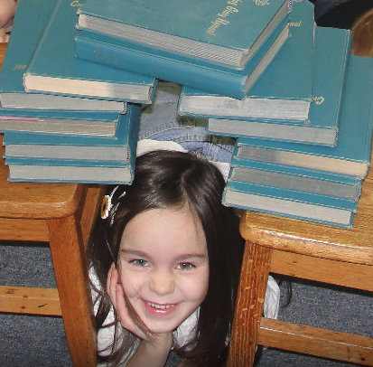 VanCleave Science Activity # 138 - Rock Bridge 