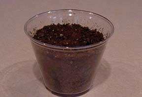 sun-seasons-and-weather-lesson-plan