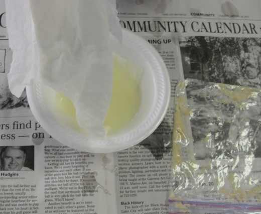 Large intestines absorbing the water