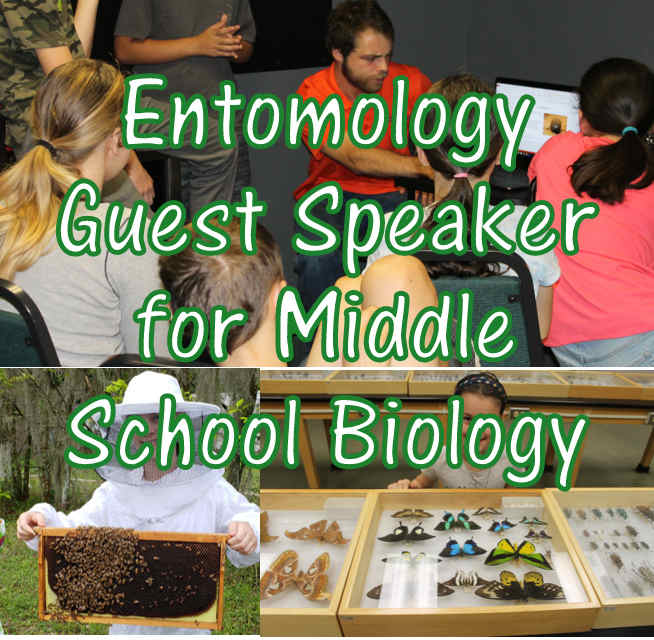 Entomology Guest Speaker: Beneficial Insects Lesson for Middle School Biology