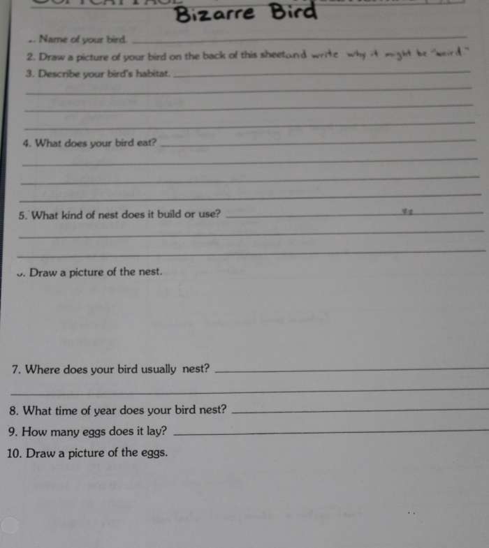 Bizarre Bird Report Sheet (originally from Ranger Rick Naturescope: Birds)