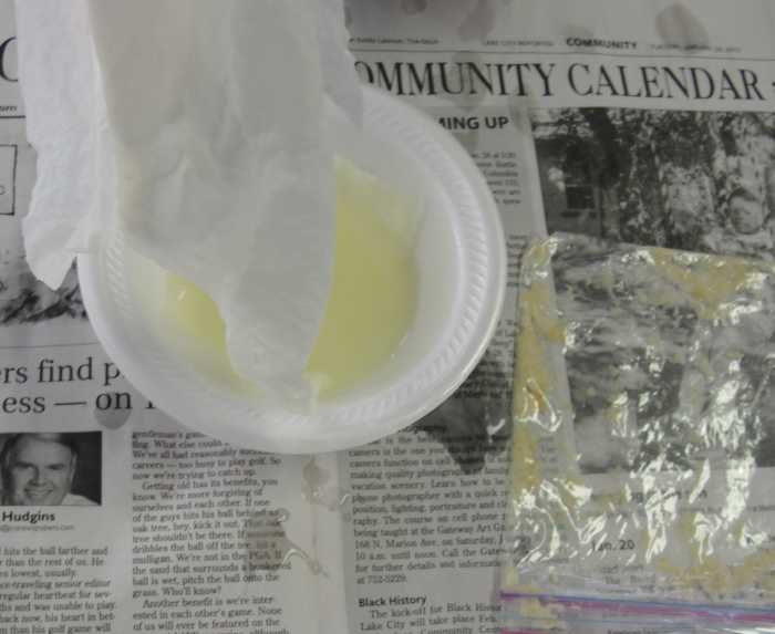 Large intestines absorbing the water activity