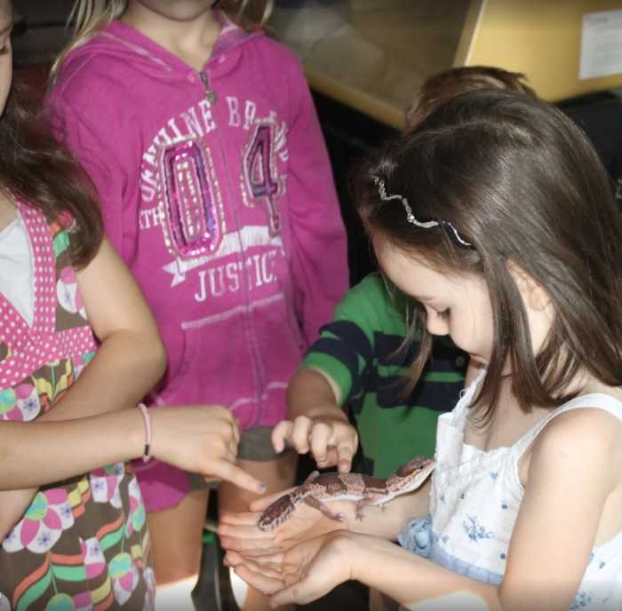 Learning about animals at Rainbow Bird Land Pet Center