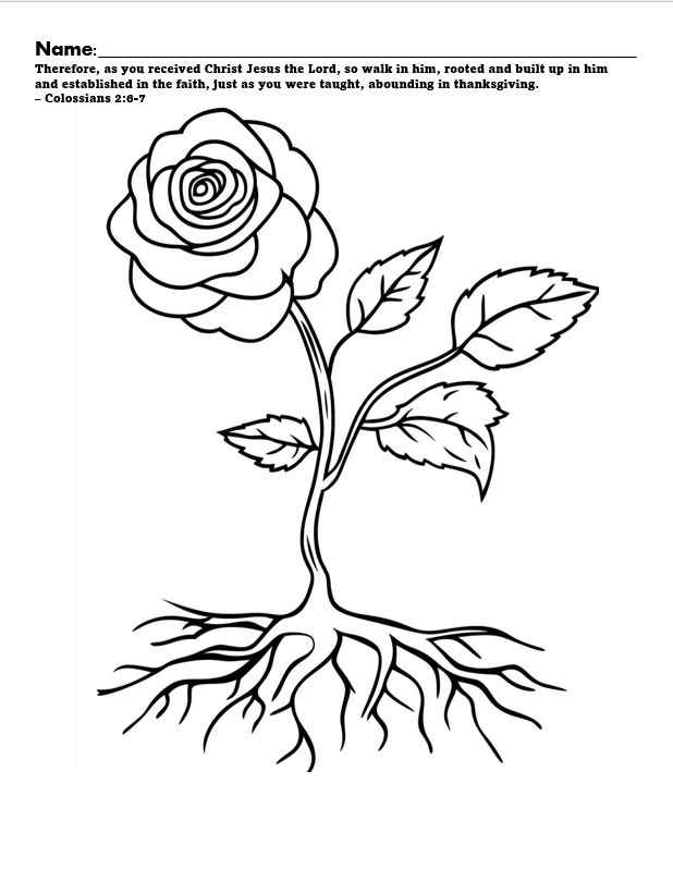 Craft sheet for roots and stems