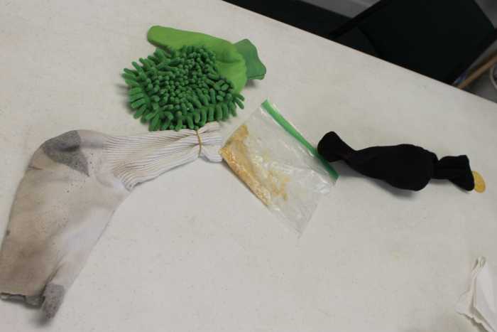 Digestive System Demo