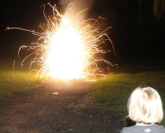 Finishing the Chinese New Year celebration with a fireworks show