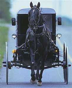 learning-about-pennsylvania