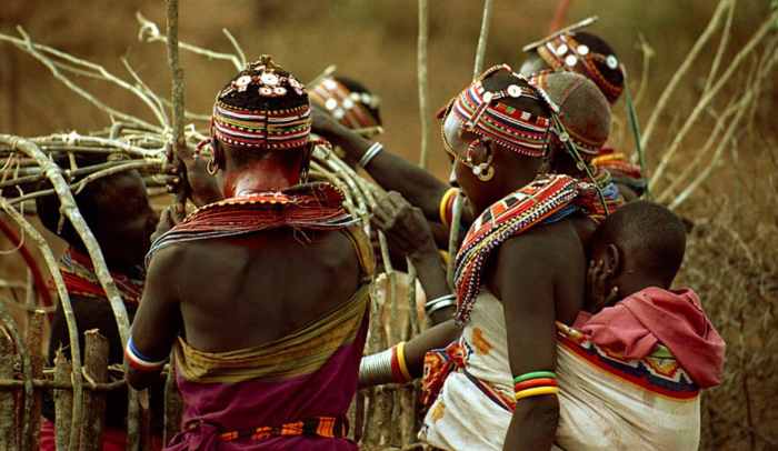 Samburu women building a new hut