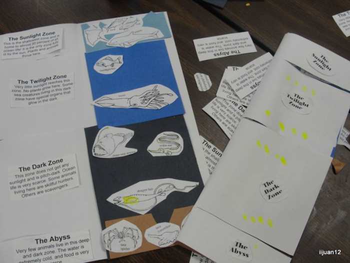 Ocean Zone Flap Book