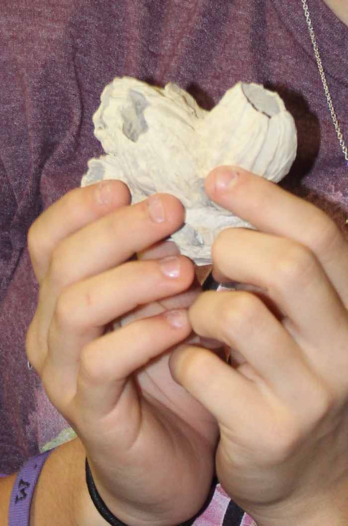 Students inspecting barnacle shells