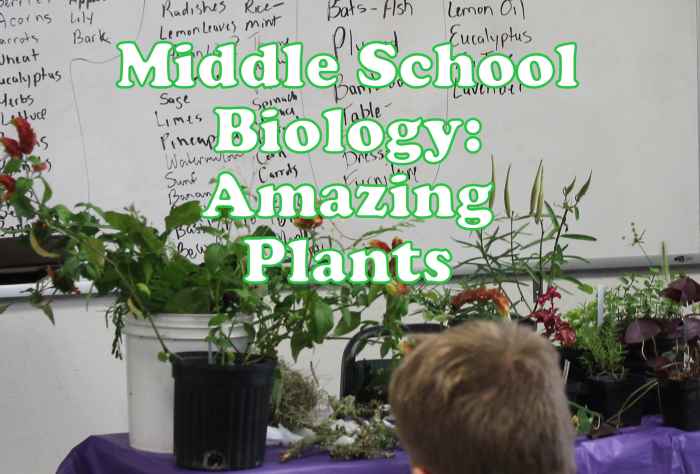 Middle School Biology Lesson on Amazing Plants