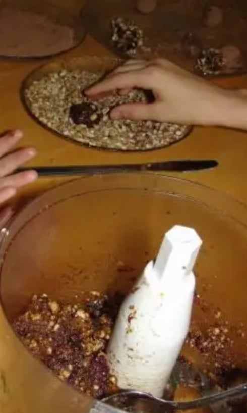 Making Tree Nut & Fruit Balls