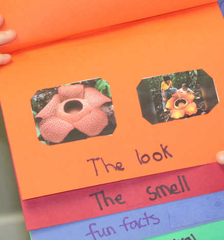 photosynthesis-and-plant-parts-lesson