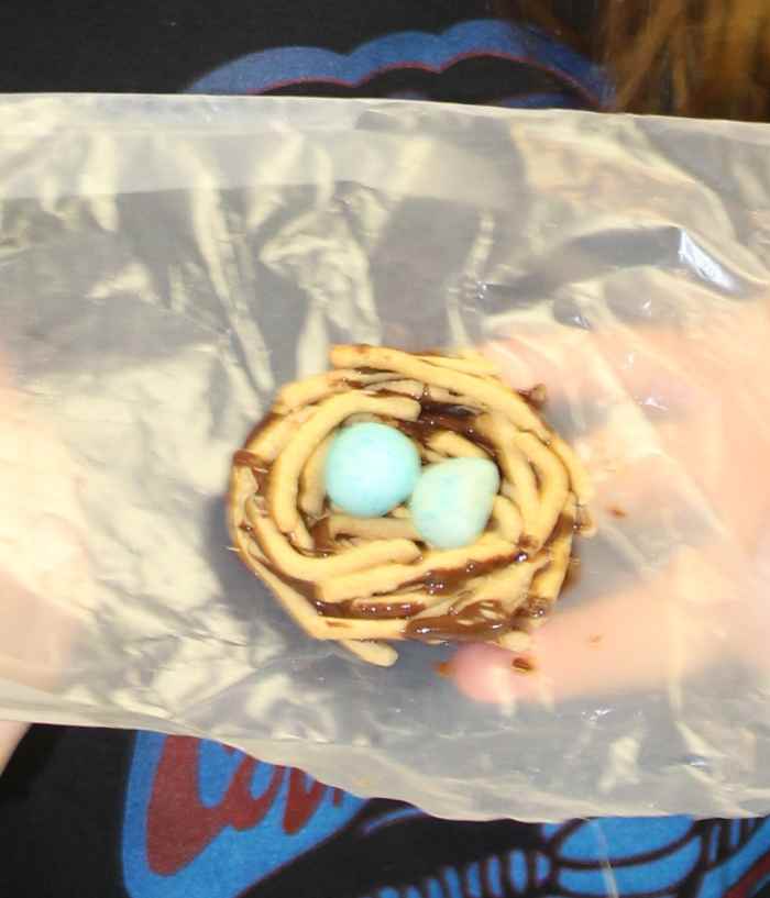 birds-lesson-plan-in-animal-classification-unit-study