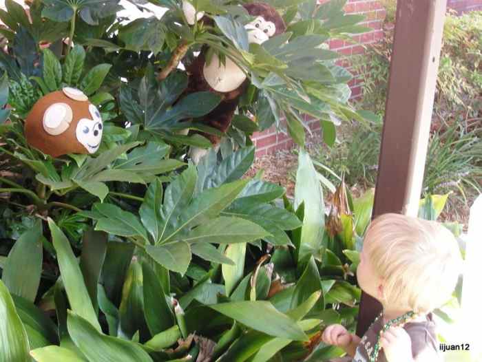 Heading through the "jungles of Panama" on the way to the Pacific with Vasco Nunez Balboa