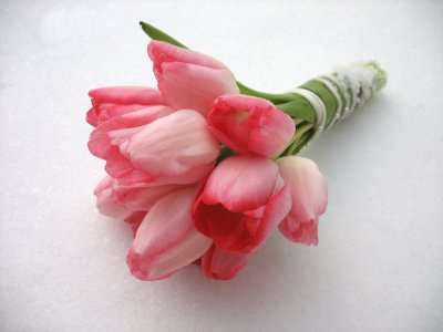 Image credit: http://www.wedding-flowers-and-reception-ideas.com/tulip-wedding-bouquets.html