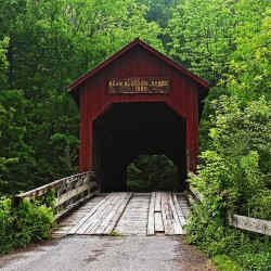 Image credit: http://www.virtualtourist.com/travel/North_America/United_States_of_America/Indiana/Beanblossom-780968/Things_To_Do-Beanblossom-TG-C-1.html