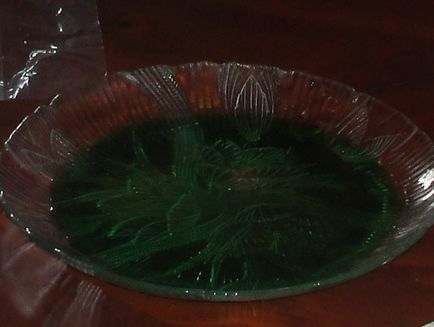 taxonomy-animal-classification-and-invertebrates-lesson-plan