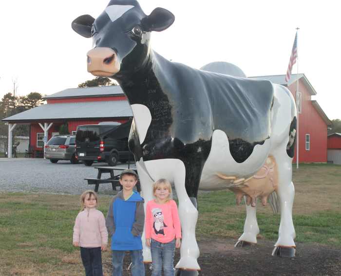 The large cow statue outside Mountain Fresh Dairy