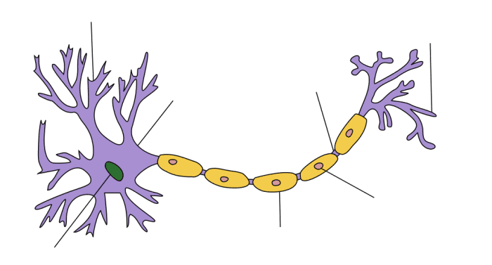 "Neuron Hand-tuned" by Quasar Jarosz
