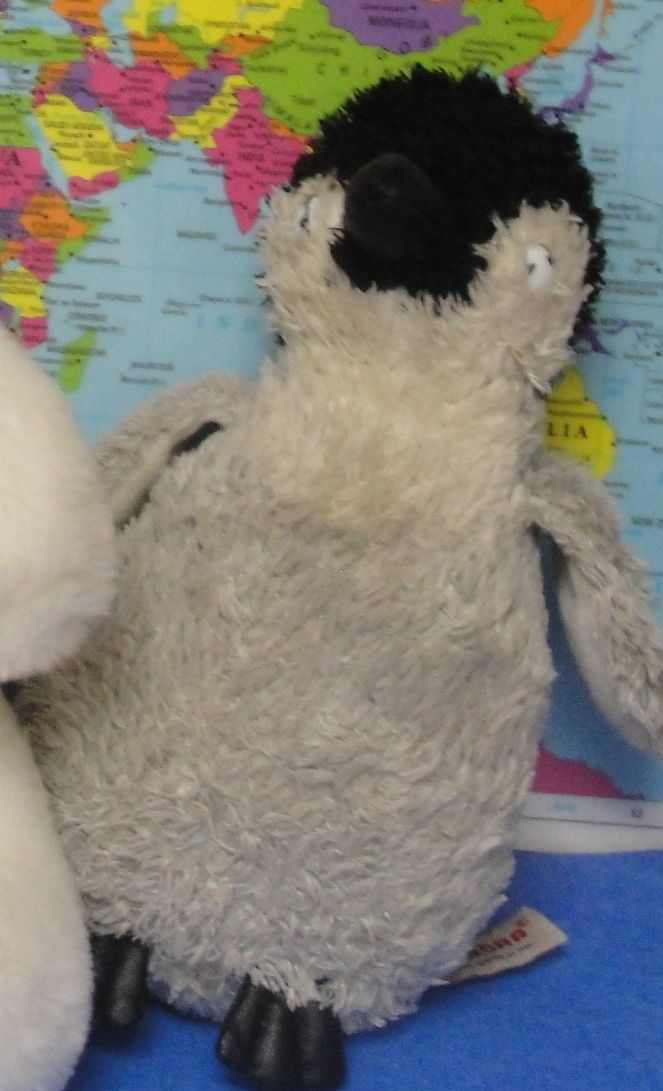 polar-exploration-lesson