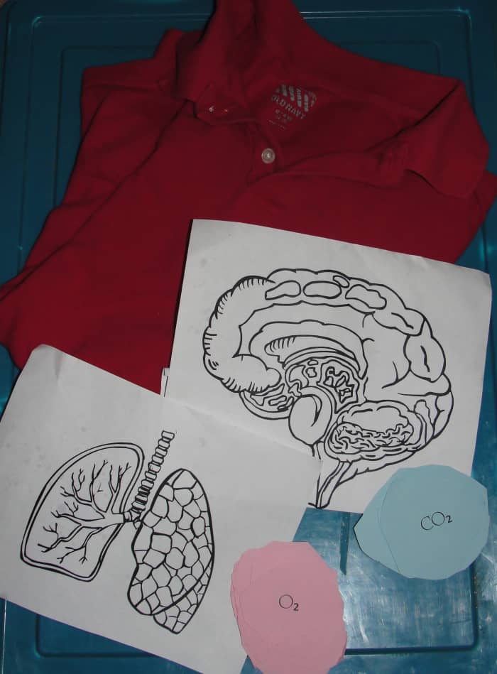 Materials for each team