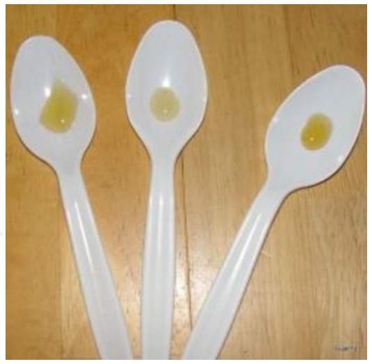 Sampling different types of honey