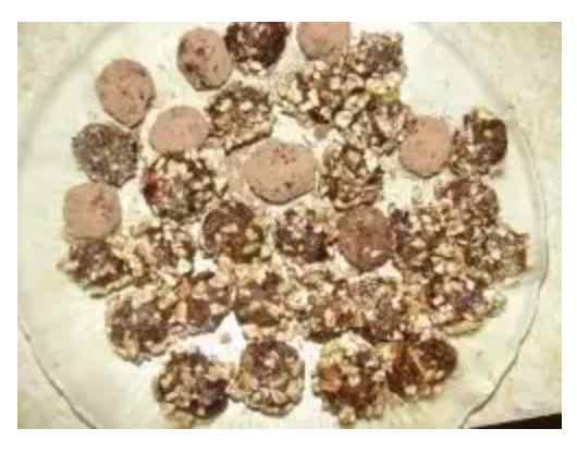 Finished Tree Nut & Fruit Balls