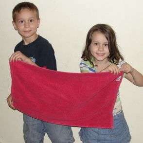 Playing Capture the Flag: The Reds vs. The Whites in the Russian Civil War