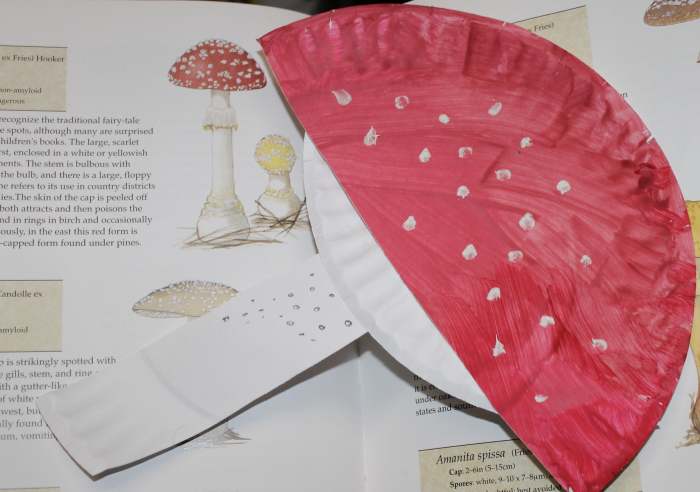 Fly Agaric Mushroom Craft option for elementary aged children