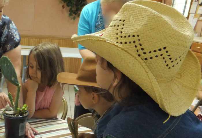 Learning about cacti of the Southwest States