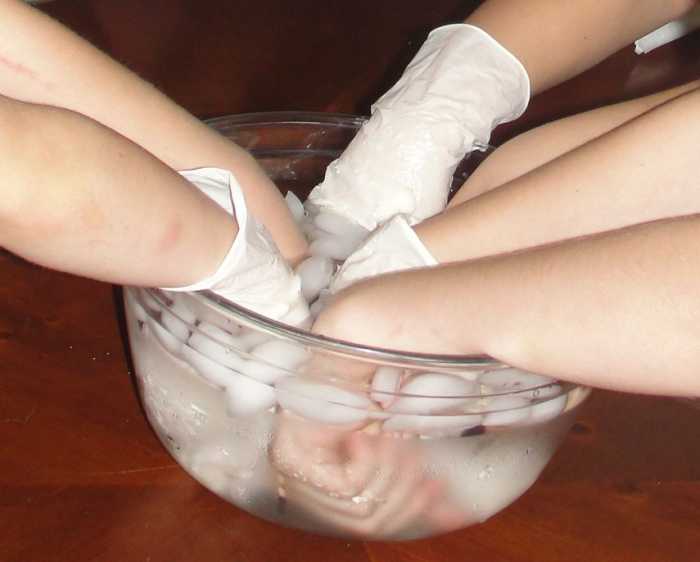 Marine Mammals & Blubber 