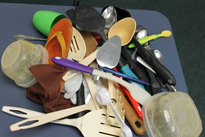 classification-of-plants-and-mammals