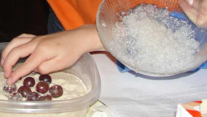 Amphibian vs. Reptile Eggs