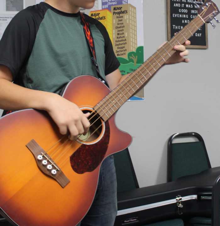 Music: Beethoven's 5th Symphony and Beethoven's Views on Napoleon