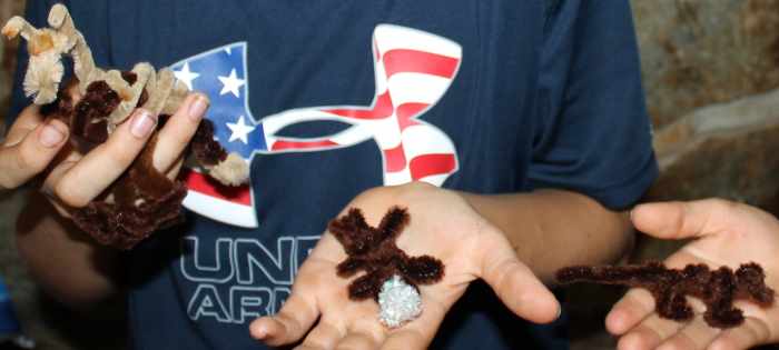 A pipe cleaner kangaroo, platypus, & dingo 