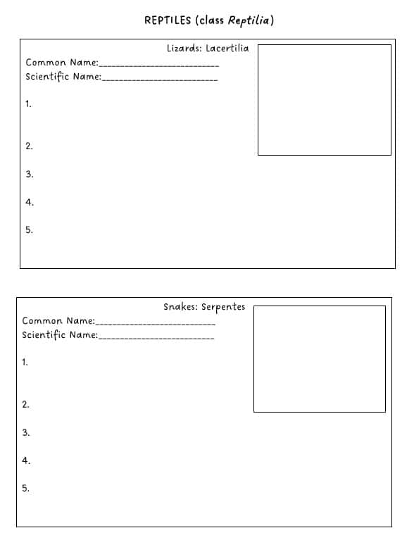 fish-dissection-lesson