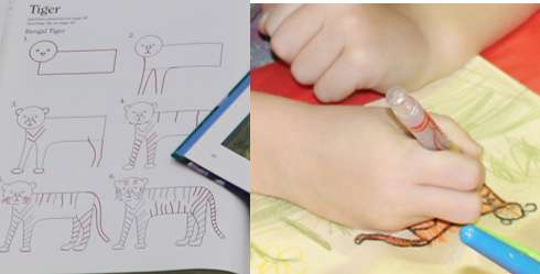 Using Draw Write Now Book 7's step-by-step instructions to draw a tiger