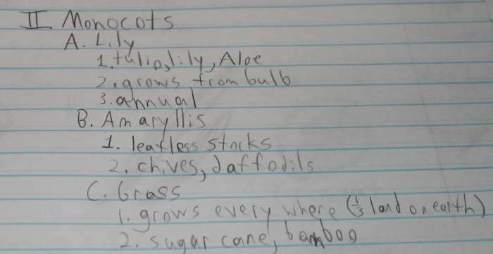 Monocot Families Notes