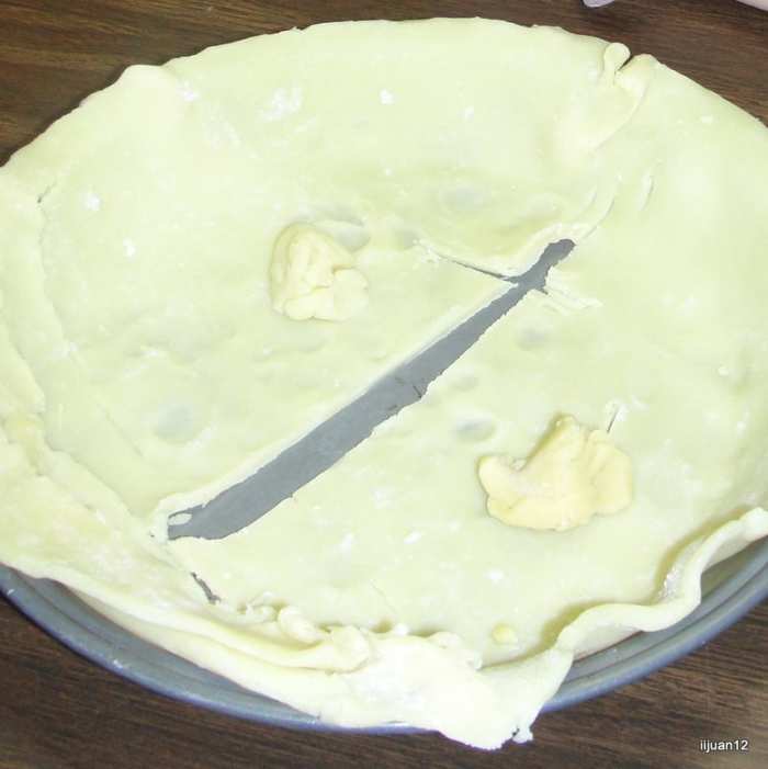 Ocean floor pie used to learn the ocean floor's features