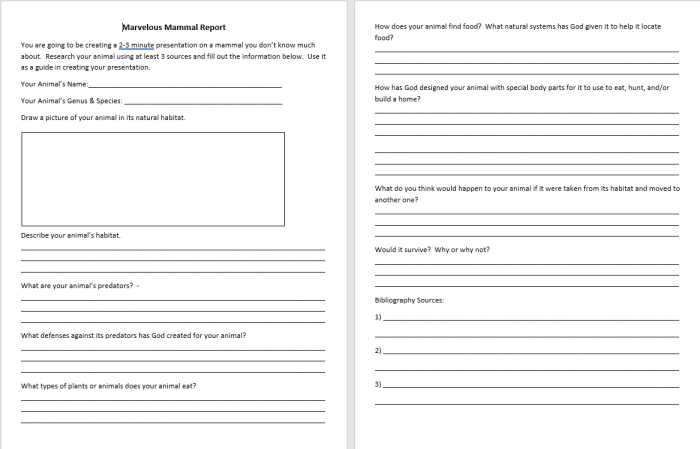 This set of worksheets is based on the project posted at https://www.carman.k12.mi.us/site/Default.aspx?PageID=2407 .